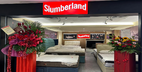 Junction 8 Gallery (Slumberland)